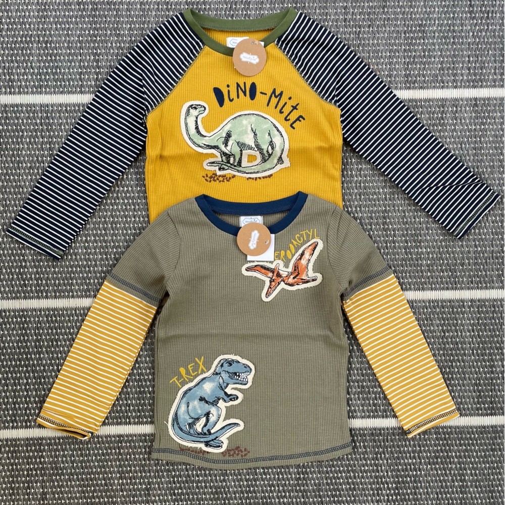 Bundle of 2 Dinosaur Tees, 2T-3T